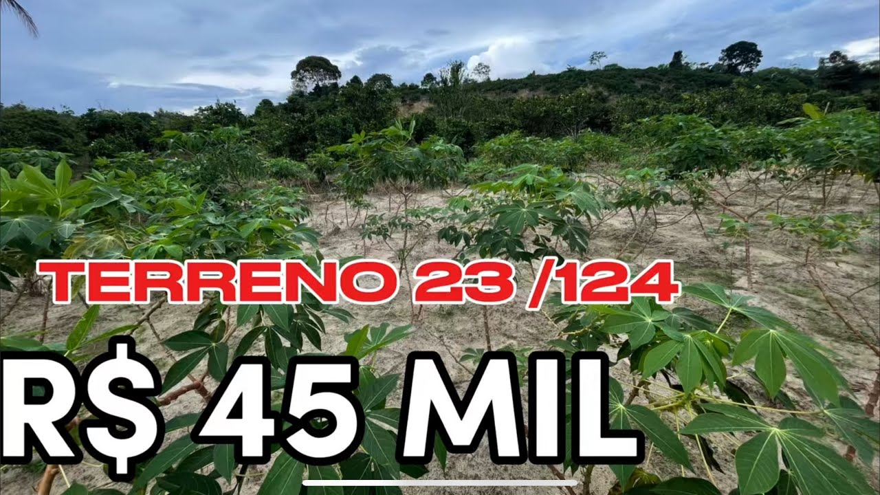R$ 45 MIL TERRENO MEDIDO 23 DE FRENTE 124 COMPRIMENTO TERRA BOA POMA LARANJA 79999632431
