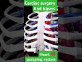 @motivational#Cardicsurgery#heart #anatomy #science #hospital #cardiachealth yt shorts