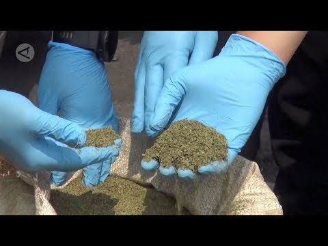 Video: Adakah Kratom menyalahi undang-undang di CA?