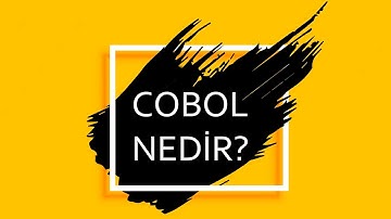COBOL NEDİR? -  PROGRAMLAMA DİLLERİNİN TARİHİ 3