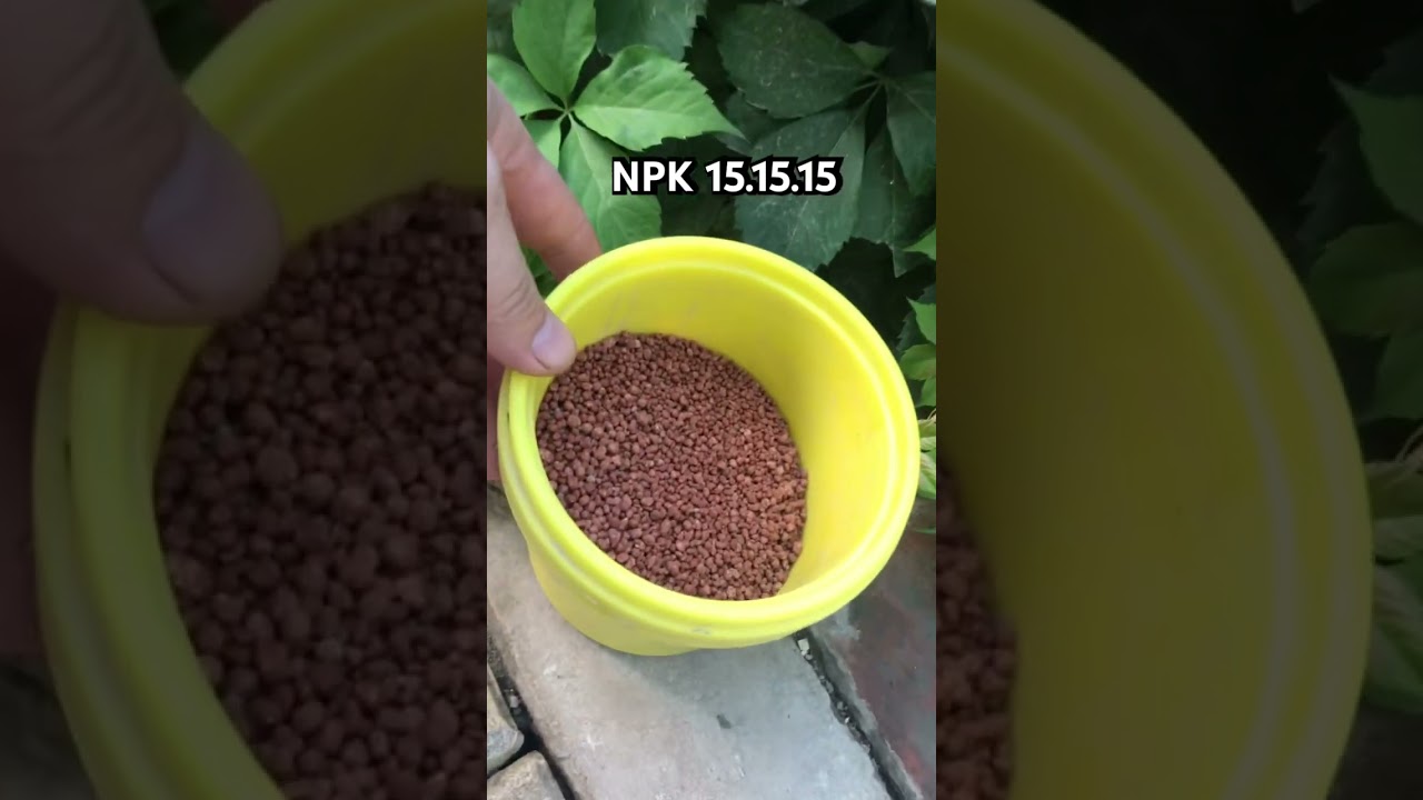 NPK 15.15.15 garanula  azod 15% fosfor 15% kaliy 15%