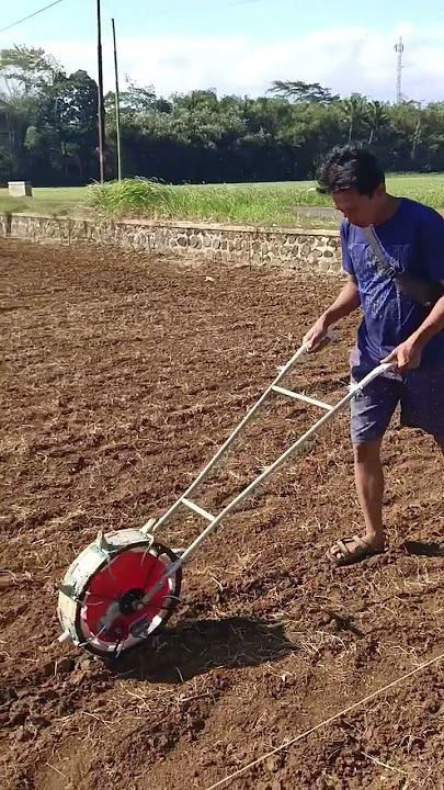 Praktis & Cepat! Menanam benih jagung dengan alat tanam / planter. #pertanian #jagung #mhfagro