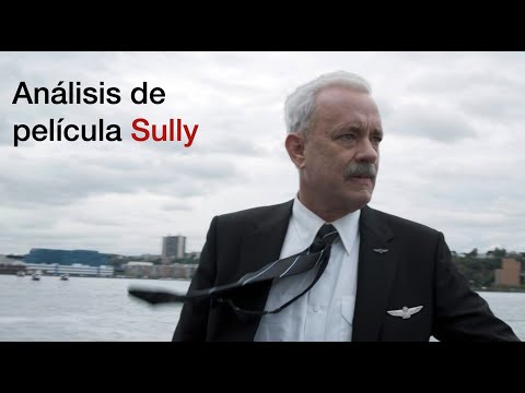 Sully: Análisis y toma de decisiones