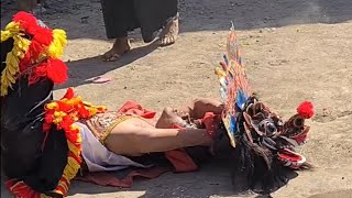 Kewan Alas Kucingan Ndadi di atas Terik matahari Jaranan ronggolawe