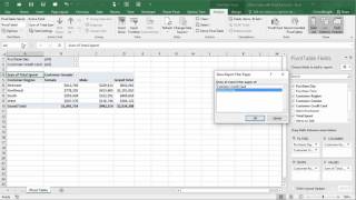 Showing Report Filter Pages