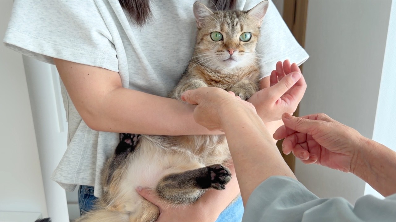 What Happened When Our Mother Came to Visit and Wouldn't Stop