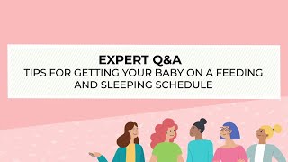 Enfamil Q&A: Tips for getting your baby on a feeding and sleeping schedule | Ad Content for Enfamil