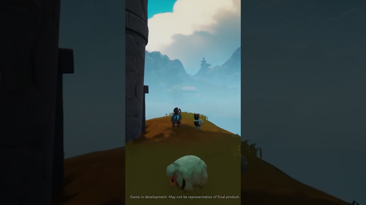 Just enjoying the good vibes of Shepherd Knight.