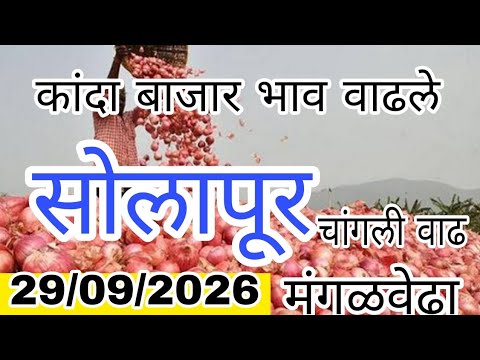 सोलापूर जिल्हा कांदा बाजार भाव वाढले,kanda bajar bhav today, सोलापूर कांदा मार्केट आजचे, सोलापूर
