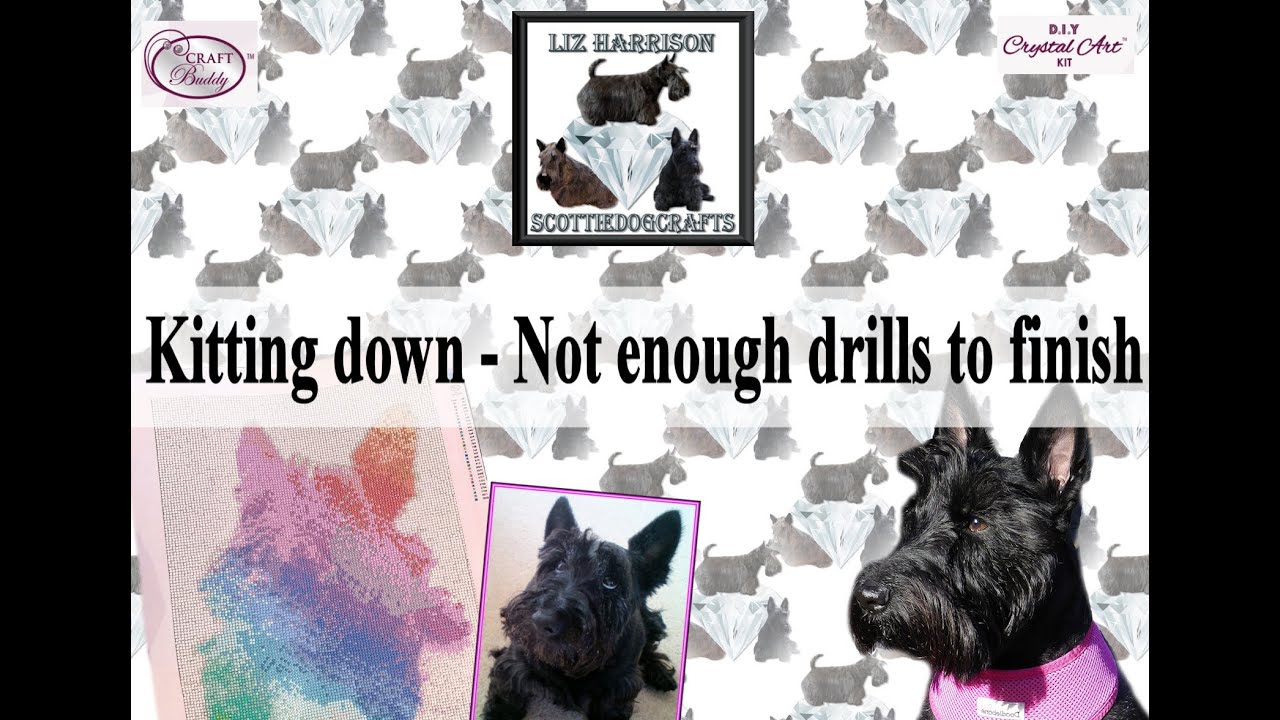 Diamond Painting | Kitting Down | Custom painting | Drills Missing