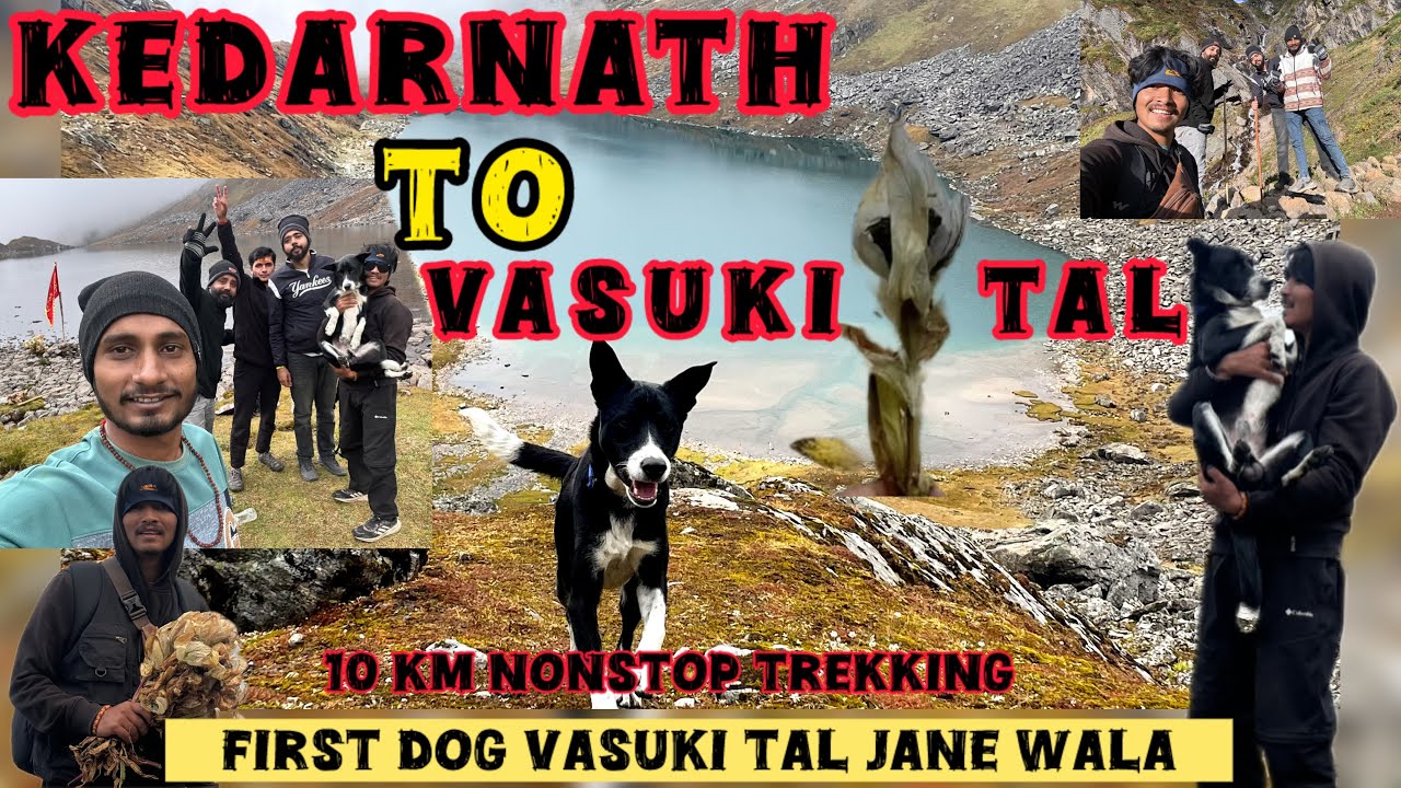 Kedarnath to Vasuki Lake trek || Kedarnath latest update vlog 