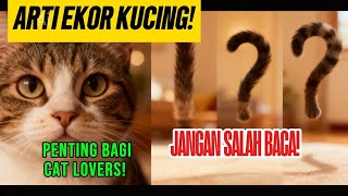 Bongkar Rahasia Anabul! 10 Bahasa Tubuh Kucing yang Wajib Kamu Tahu Sebelum Terlambat!