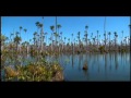 Reportaje al Perú : PUERTO MALDONADO, la puerta grande de la selva - Cap 3