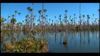 Reportaje al Perú : PUERTO MALDONADO, la puerta grande de la selva - Cap 3