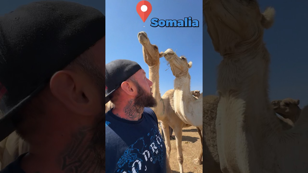 Ile kosztuje żona w Somalii? #shorts