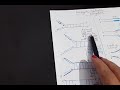 Eukaryotic replication (elongation)