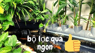 Hồ koi thùng xốp  chi tiết dàn lọc