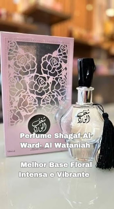 Top 10 melhores perfumes Árabes Femininos!