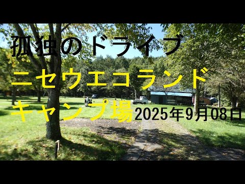【ニセウエコランドキャンプ場】孤独のドライブ2025　ゆったりとしたスペース、マイカーやキャンピングカーで、乗り入れることができるキャンプ場を中心に、アウトドアライフを満喫#北海道 #車窓 #平取町