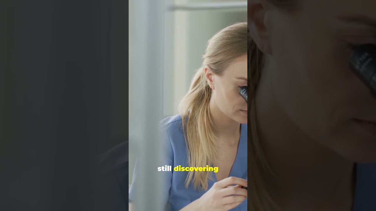 The Most Colorful Ants on Earth! Meet the Rainbow Ant Species