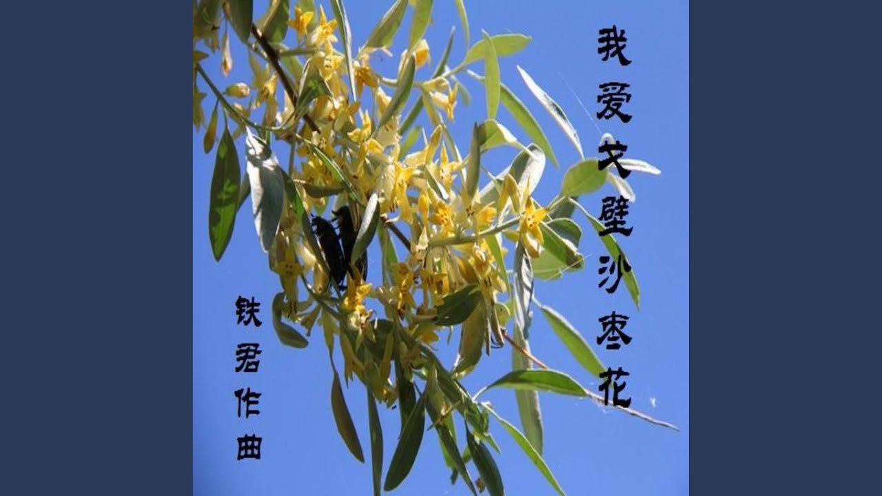 我爱戈壁沙枣花 墨香版 Youtube