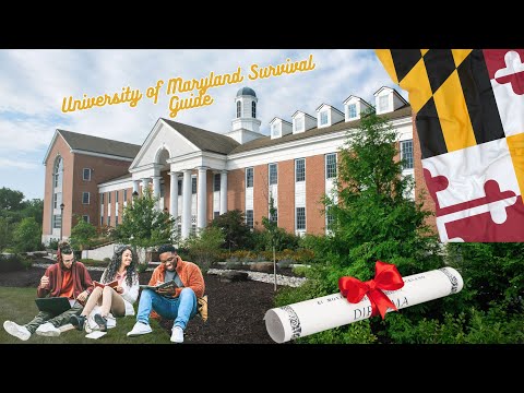 University Of Maryland Reddit