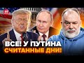 🔥ШЕЙТЕЛЬМАН: Пока все СПАЛИ! У Путина БОЛЬШОЕ ЧП: терпение ТРАМПА ЛОПНУЛО. Следующая НЕДЕЛЯ РЕШАЮЩАЯ