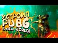 УСТРОИЛ PUBG В NEW WORLD! - ОНИ НЕ МОГУТ УЙТИ ОТ МЕНЯ!