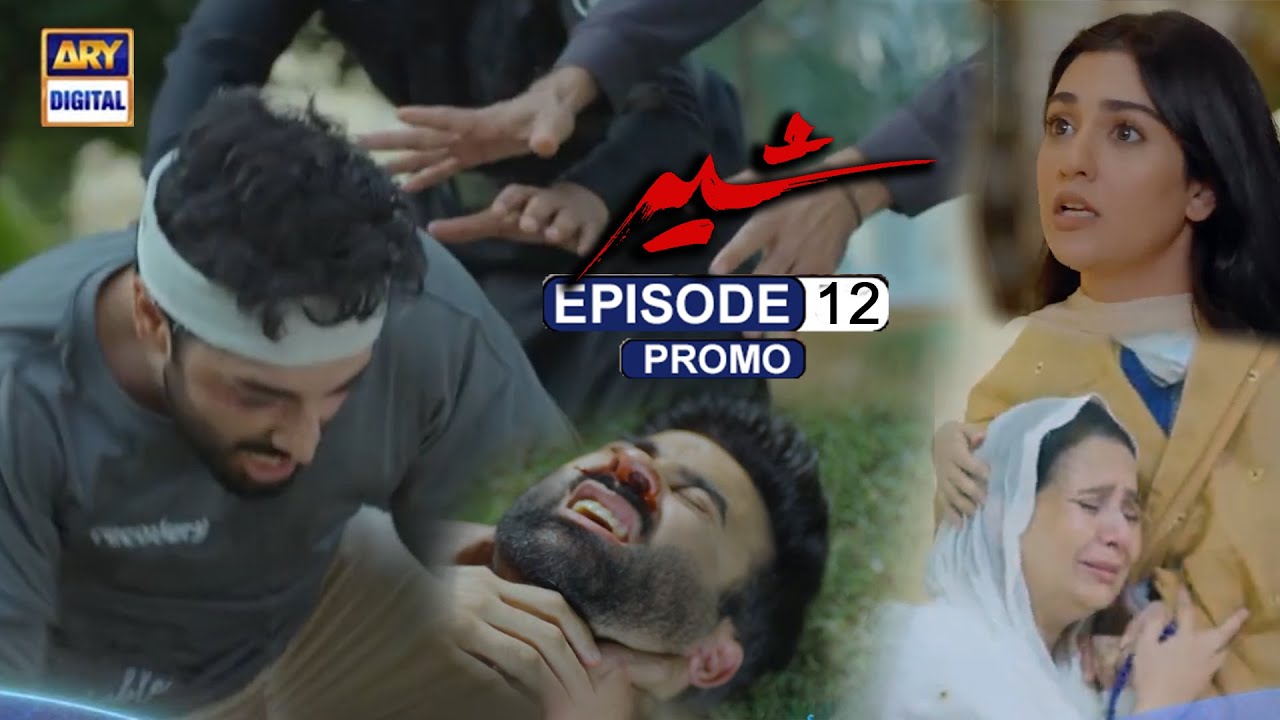 Sher Episode 12 _ Promo _ Danish Taimoor | New Pakistani Drama 2025 | Yadgar Voice