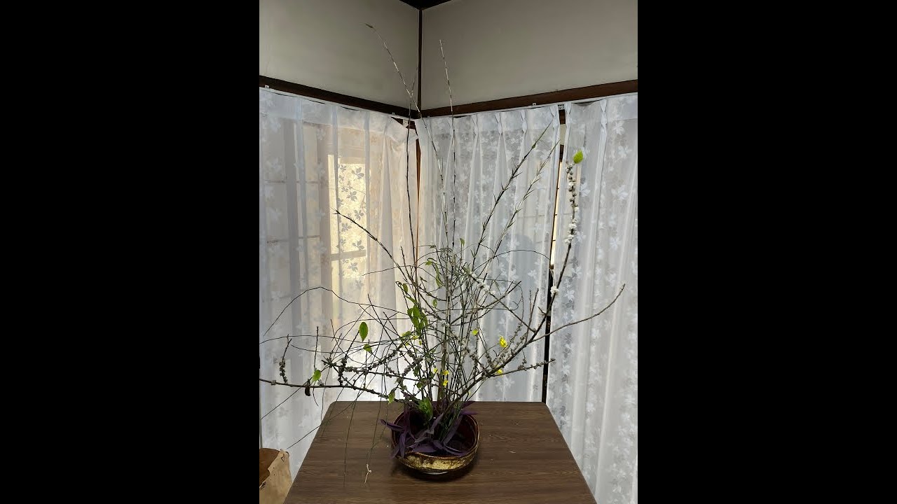 投稿885　０蘭Nature art