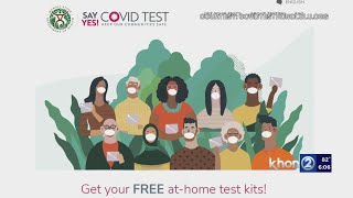 Oahu residents who live in these ZIP codes can order free COVID test kits