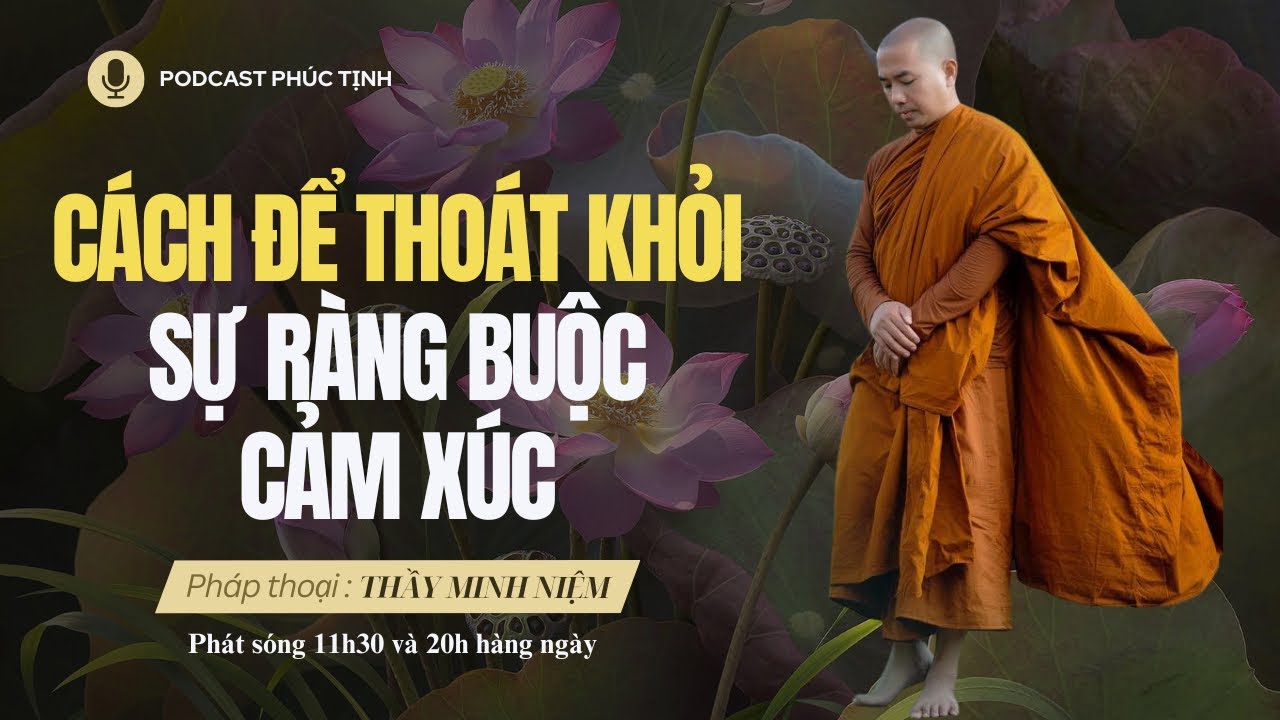 Cách Thoát Khỏi Sự Ràng Buộc Cảm Xúc | Thầy Minh Niệm | Phúc Tịnh