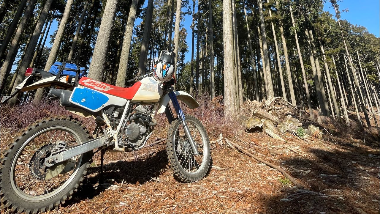 静岡県　林道北箱根山支線② 2026年2月　XR250
