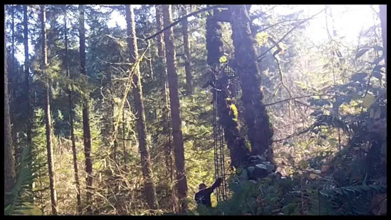 How To Take Down A 20Ft 100Lb Ladder Stand By Yourself