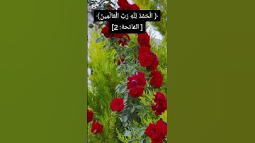 القراءة الصحيحة سورة الفاتحه #القرآن_الكريم #اكسبلور #المصحف