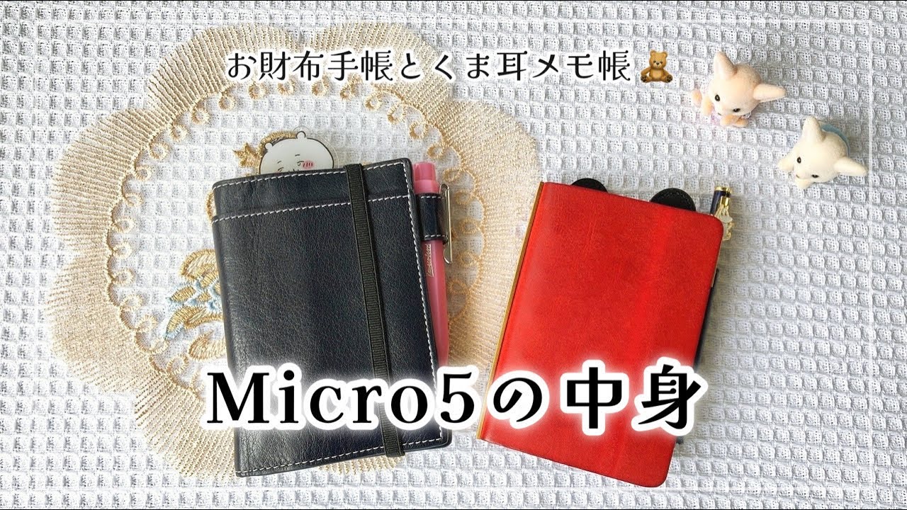 【手帳の中身】最近のM5の使い方🌟【お財布手帳┊︎ディープ┊︎プロッター┊︎持ち歩き手帳】