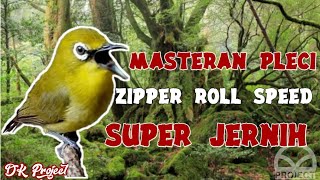MP3 Masteran Burung Pleci Zipper|Roll Speed Super Jernih ~DK Project