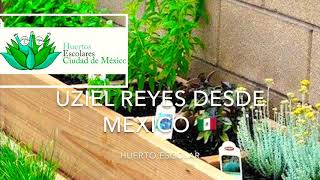 Huerto escolar( school Garden)