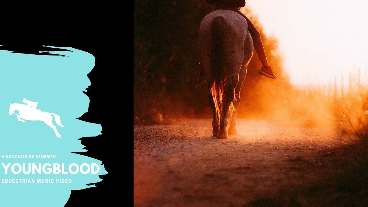 Youngblood || Equestrian Music Video