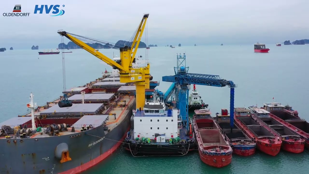 Coal transshipment by FOTP Lena at Cam Pha Anchorage, Quang Ninh Province