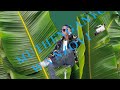 MUTHENGANYO WA NZOVI VIDEO 
