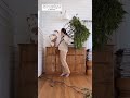 How you can elevate your spaces with foraged branches