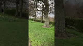 IMG 0484 3