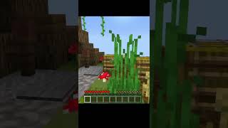entrainement de skywars
