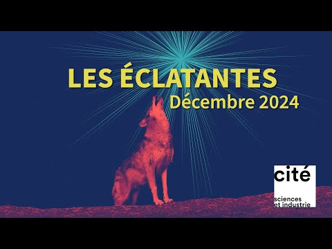 Les éclatantes #10 - décembre 2024