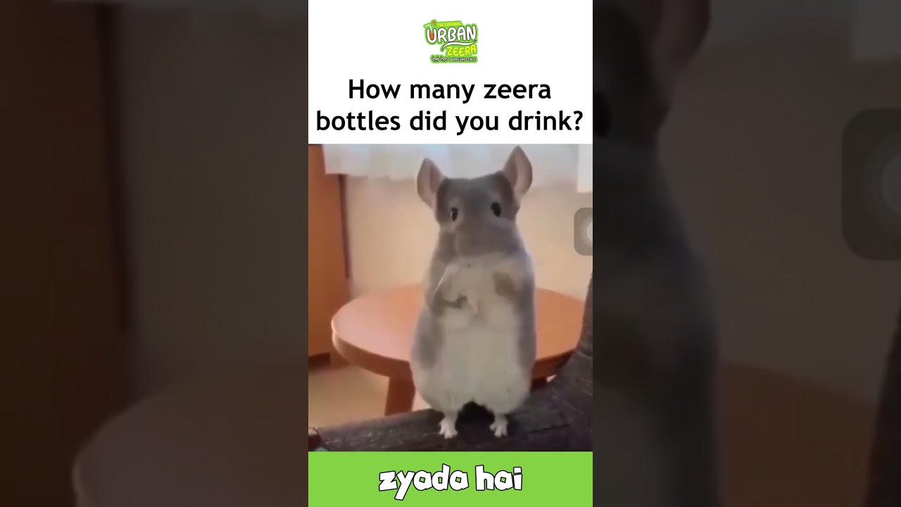 Refreshingly bold, sip Urban Zeera.