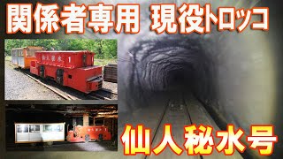 【激レア】【4K】釜石鉱山 業務用トロッコ列車 全区間前面展望