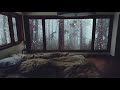 In 3 Minuten Einschlafen mit Entspannender Regen am Fenster im Nebligen Wald und tiefer Donner