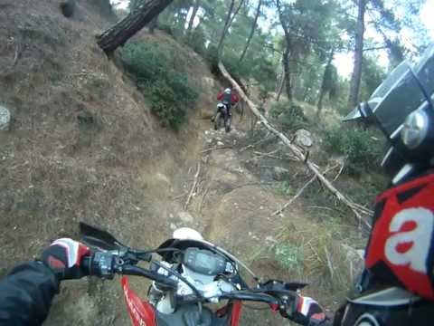 Trail Ride (Seix