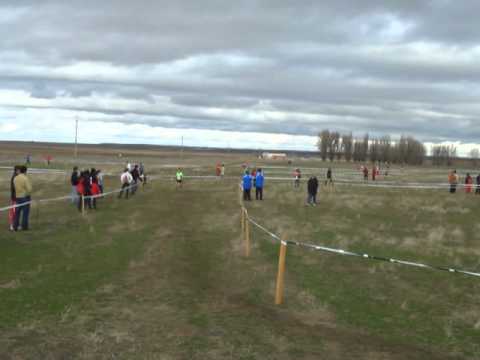 XXXIX Cross Nacional de Cantimpalos 2010 8/12/2010...